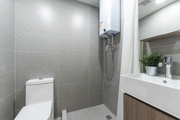 Standard Studio High